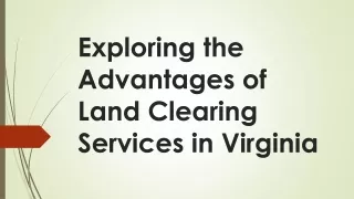 Exploring the Advantages of Land Clearing Services in Virginia