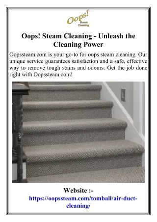 Oops! Steam Cleaning - Unleash the Cleaning Power