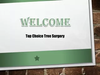 The Best Tree Stump Removal in Ballymount - Top Choice Tree Surgery