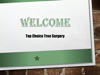 welcome