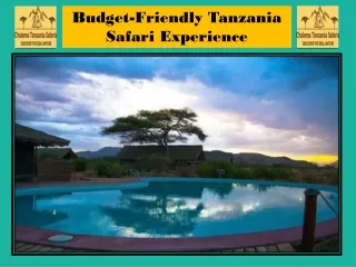 Budget-Friendly Tanzania Safari Experience
