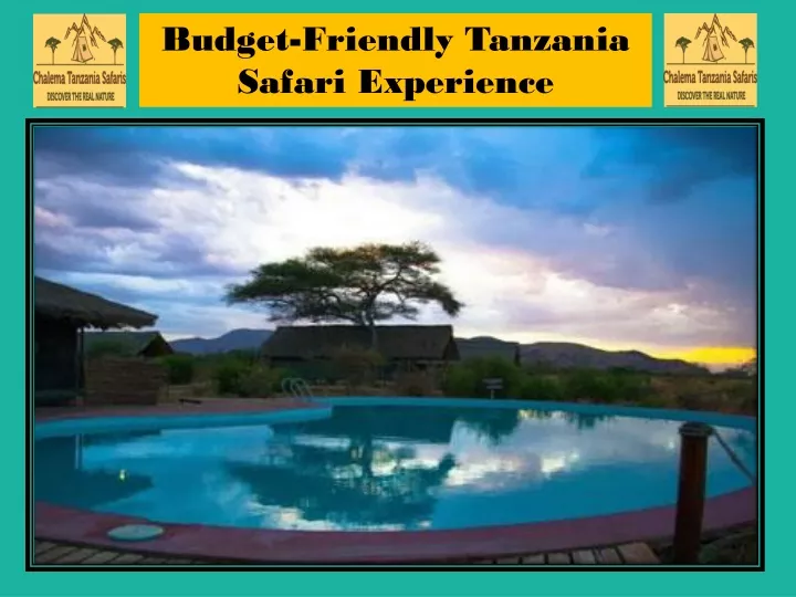 budget friendly tanzania safari experience