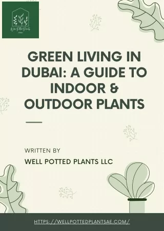 Green Living in Dubai: A Guide to Indoor & Outdoor Plants