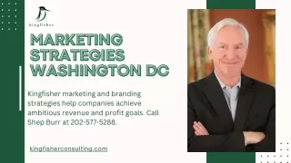 Marketing Strategies Washington DC - Kingfisher Growth Strategies