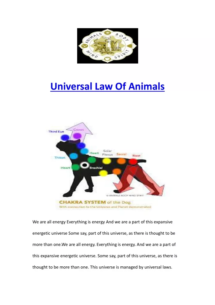 universal law of animals