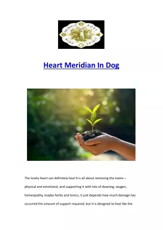 Heart Meridian In Dog