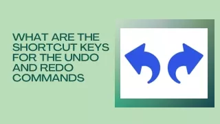 What are the Shortcut Keys for the Undo and Redo Commands