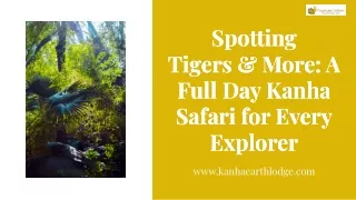 Spotting Tigers & More: A Full Day Kanha Safari for Every Explorer