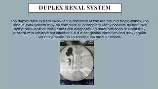 Duplex Renal System