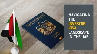 Navigating the Investor Visa Landscape in the UAE