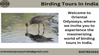 Birding Tours In India