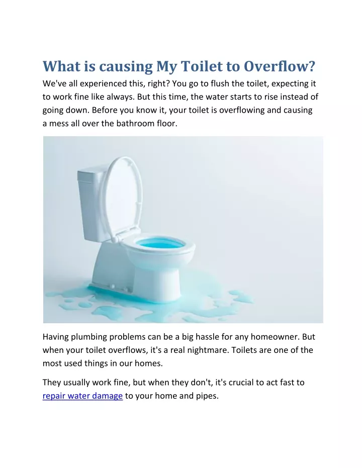 what is causing my toilet to overflow