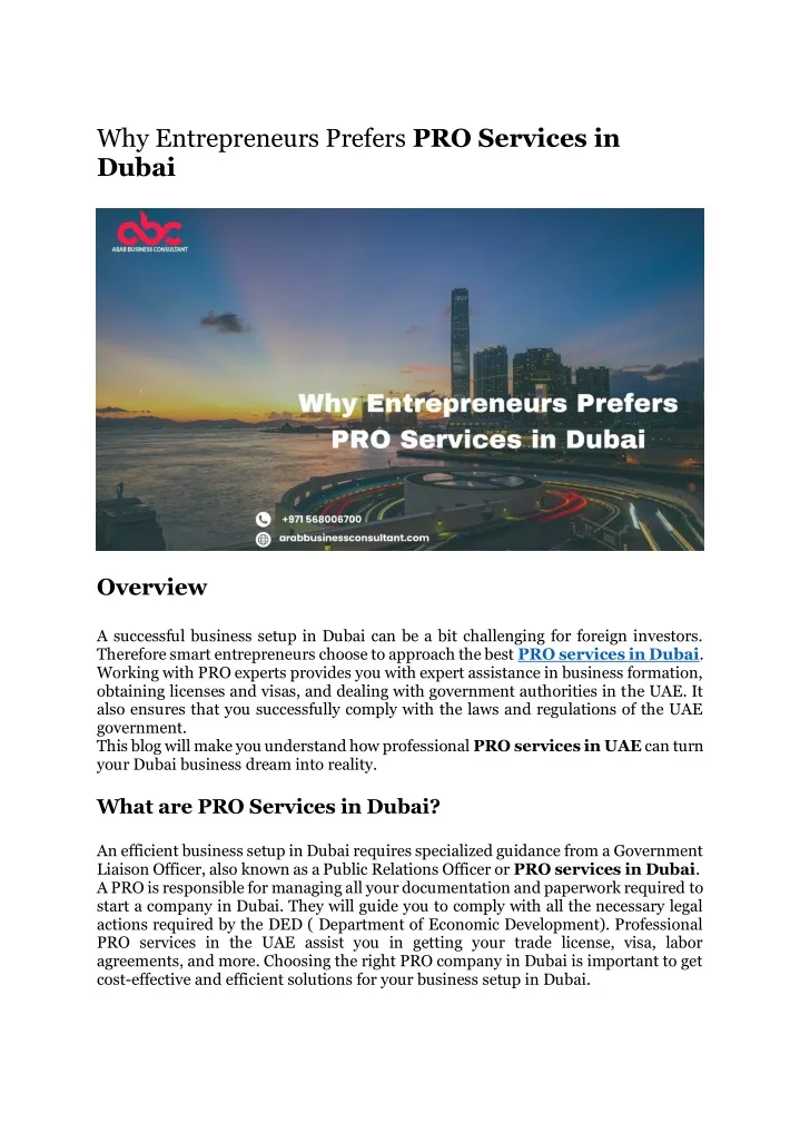 why entrepreneurs prefers pro services in dubai