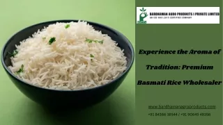 Experience the Aroma of Tradition Premium Basmati Rice Wholesaler