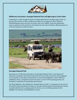Wilderness Encounters and Serengeti National Park and Ngorongoro Crater Safari