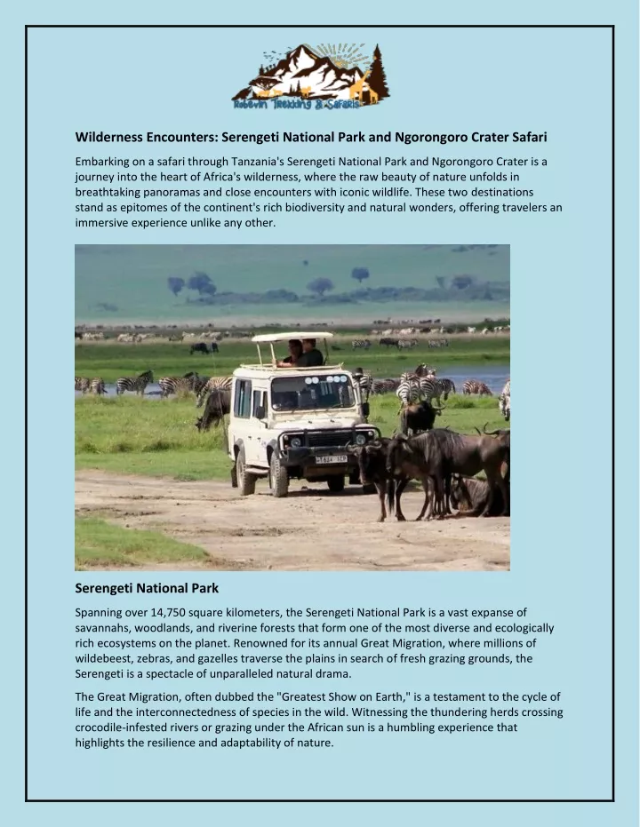 wilderness encounters serengeti national park