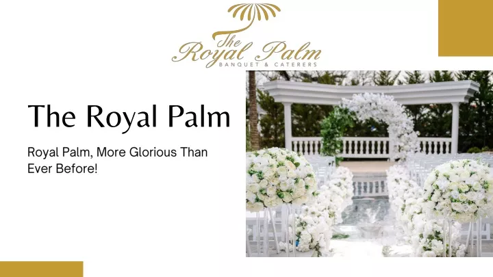 the royal palm