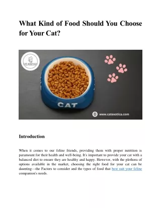 What Kind of Food Should You Choose for Your Cat