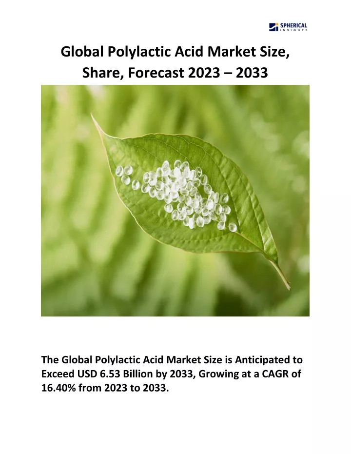 global polylactic acid market size share forecast