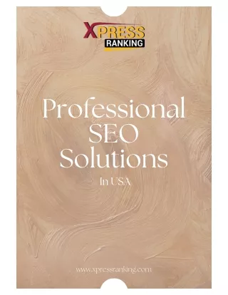 Professional SEO Solutions In USA by Xpress Ranking