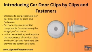 Car Door Clip (1)