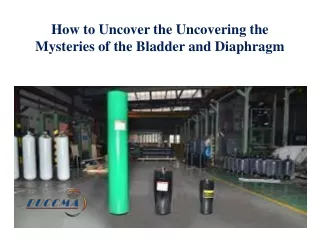 How to Uncover the Uncovering the Mysteries of the Bladder and Diaphragm
