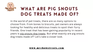 What are pig snouts dog treats made of?