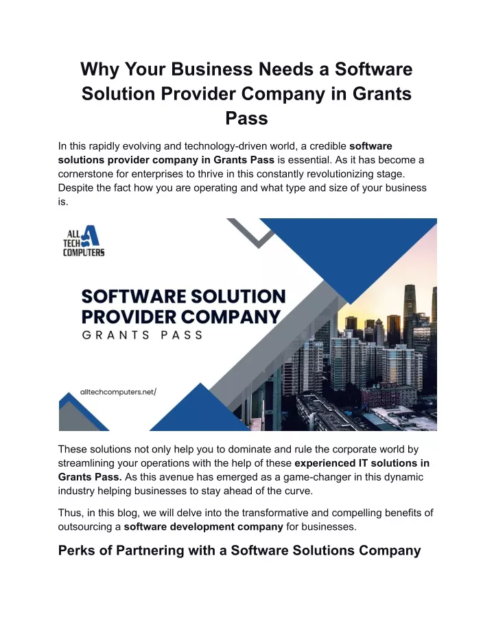 why your business needs a software solution