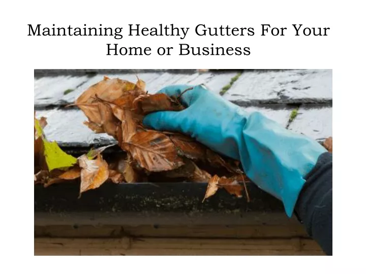 maintaining healthy gutters for your home or business