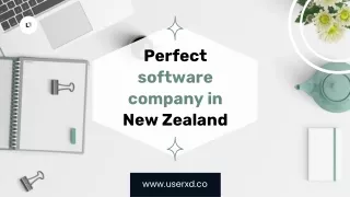 Best software company in New Zealand