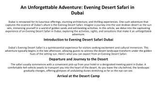 Explore The Magic Of Evening Desert Safari Dubai