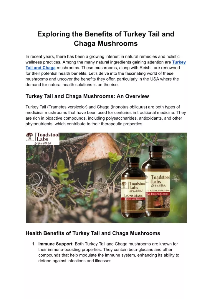 exploring the benefits of turkey tail and chaga