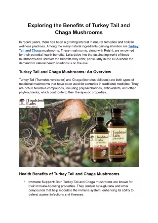 Exploring the Benefits of Turkey Tail and Chaga Mushrooms