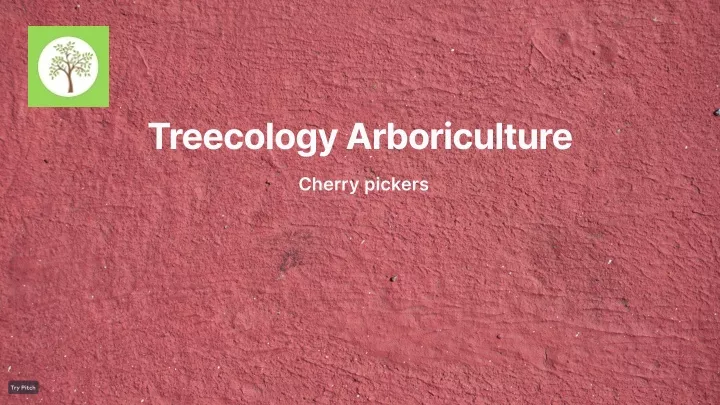 treecology arboriculture