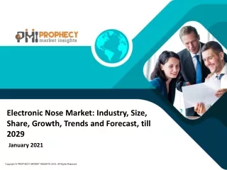 Sample_Global Electronic Nose Market