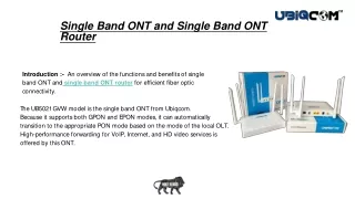 Ubiqcom Single Band Ont  | Single Band Ont Router