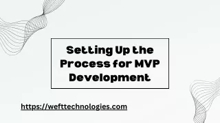 How we set up the MVP development process