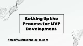 setting up the process for mvp development