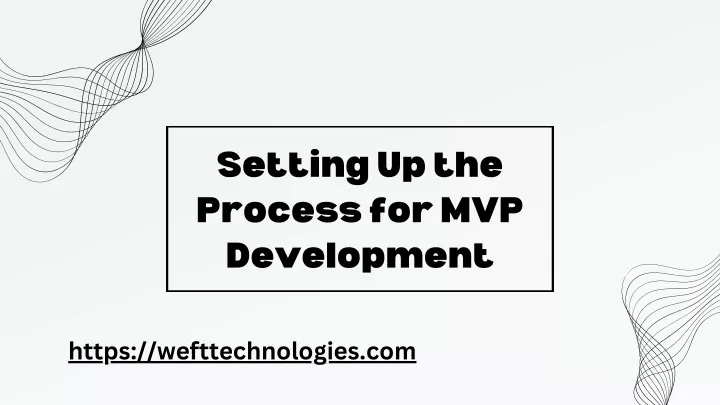 setting up the process for mvp development