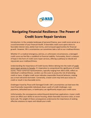 Navigating Financial Resilience: The Power of Credit Score Repair Services