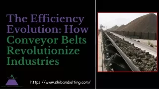 Conveyor Belts_ Industry Efficiency Revolution