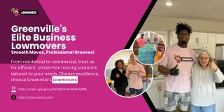 Greenville's  Elite Business  Lowmovers - Smooth Moves, Professional Grooves!