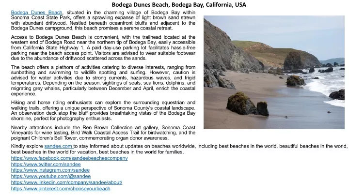 bodega dunes beach bodega bay california usa