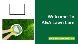 Lawn Care And Pest Control In New Braunfels TX - A&A