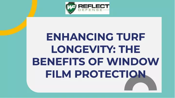 enhancing turf longevity the benefits of window