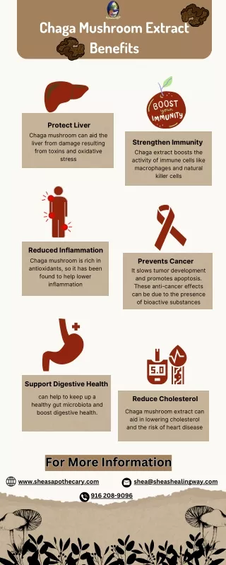 chaga mushroom extract benefits