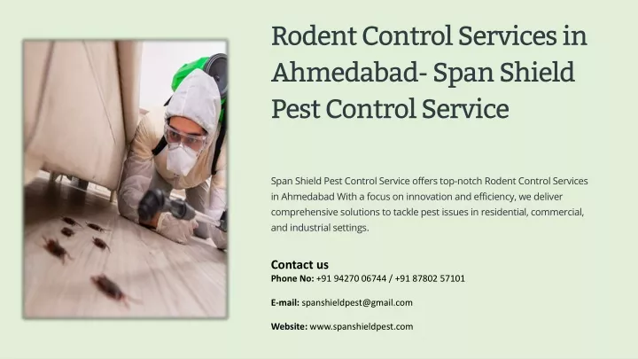 rodent control services in ahmedabad span shield