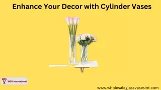 Cylinder Vases