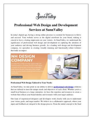 Professional Web Design and Development Services