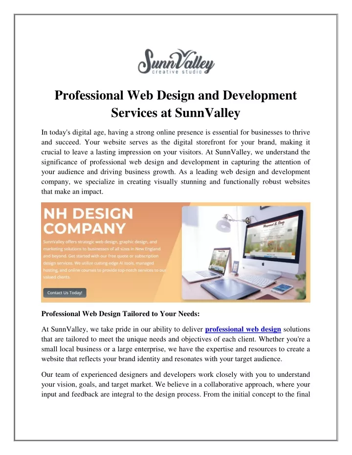 professional web design and development services